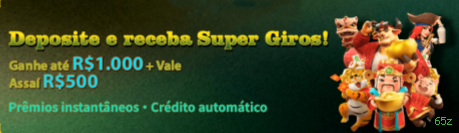 65z Login Seguro
